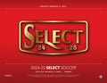 2024-25 Panini Select Premier League Soccer Mega 20 Box Case